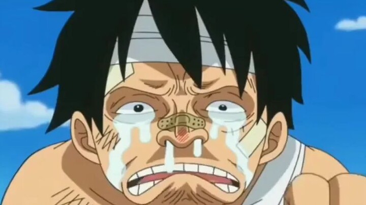 Luffy gabisa ngitung 😂