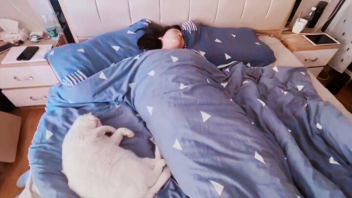 Me and My Cat in My Boyfriend’s Phone Gallery