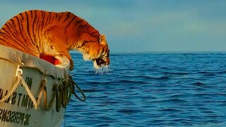 少年派的奇幻漂流.影视