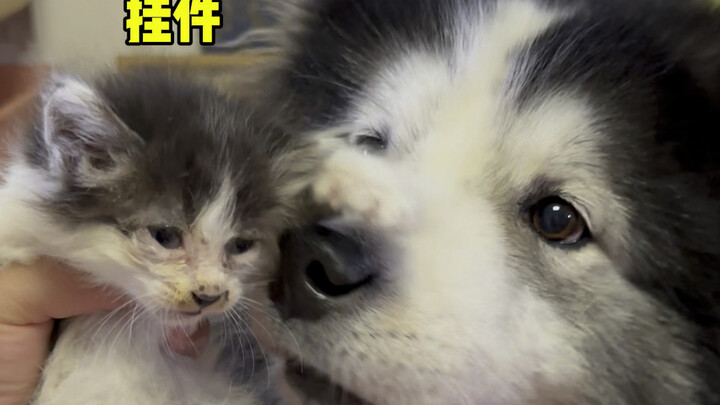 Mulai sekarang kamu punya rumah