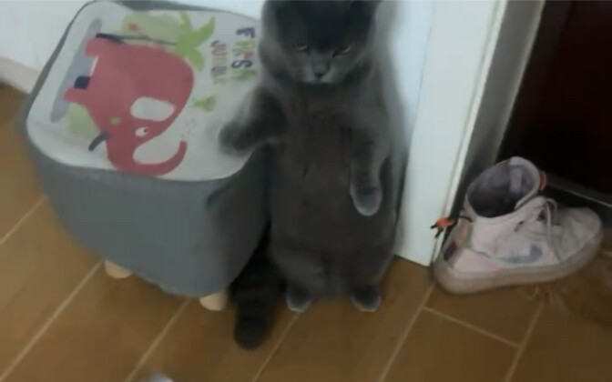 أنت عندما كانت أمي تمسح الأرضية