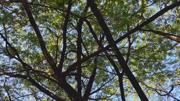 ຈາກແມັກນ້ຳ ມາແຈກ ຂອງລາງວັນ