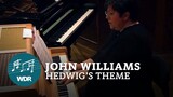 John Williams - Hedwig’s Theme (Harry Potter) | WDR Funkhausorchester