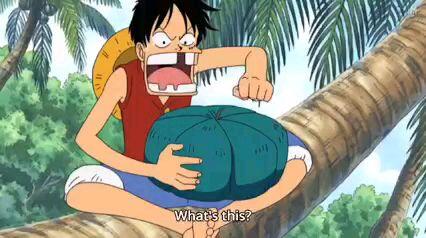 one piece funny moment