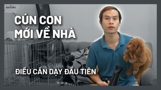 Chăm sóc & dạy chó con ngày đầu tiên về nhà | BossDog