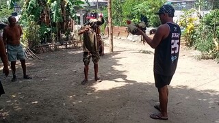 manok ni badang