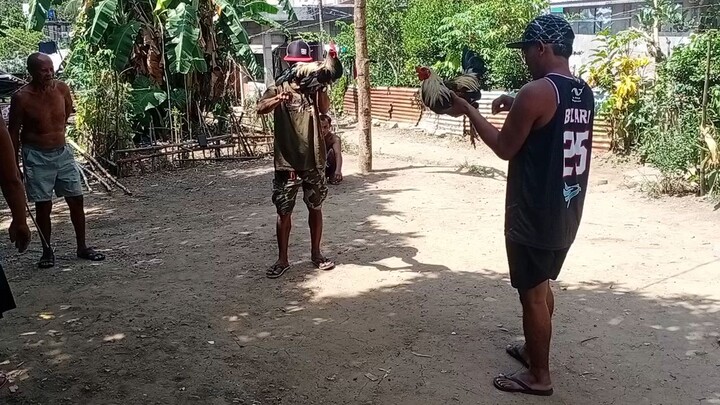 manok ni badang
