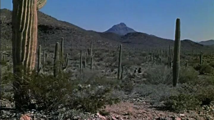 Lone Ranger and the Lost City of Gold 1958 Clayton Moore, Jay Silverheel