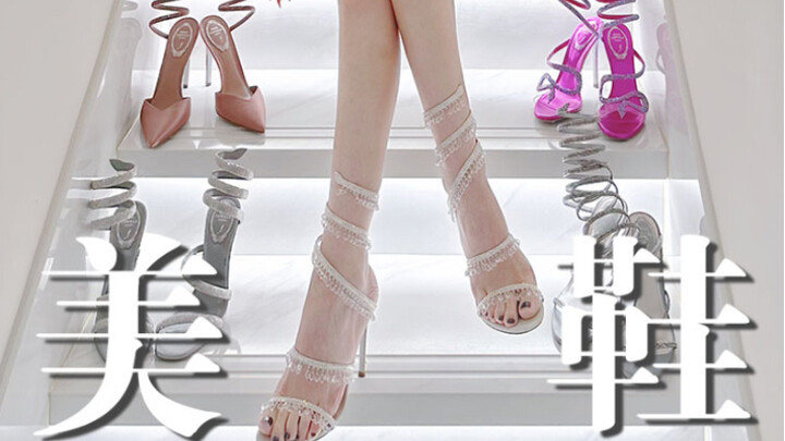 Pertarungan Dewa 👠 Kalau Sepatu Hak Tinggi Ular Punya Peringkat!