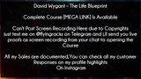 David Wygant Course The Life Blueprint Download