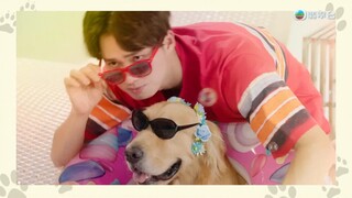 Chó Cưng Của Tôi EP 15 [Sub Việt]