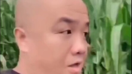Brother Dao Suddenly Appears in the Cornfield (Second Resend)