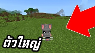 หนูตัวใหญ่?? ในมายคราฟมาเเล้ว!! (อันตราย) | Minecraft PE