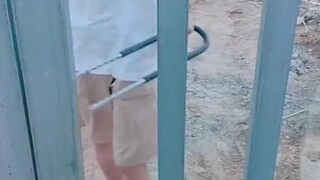 Lựa chọn quan trọng hơn nỗ lực; nếu hướng đi sai, dù có nỗ lực đến đâu cũng chỉ là vô ích.