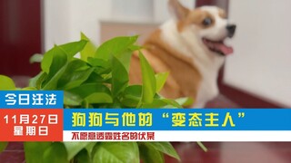 《今日汪法》之“我的变态主人”