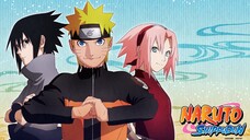 Naruto Shippuden Episode 116 In Hindi Subbed