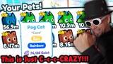 👀I Got Golden Rainbow Pog Cat *UPDATE* (how to get fast) Pet Simulator X