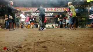 3rd fight win using BC 5K sweater  @ camalig    3cock ulotan...  CHAMPION 🏆🏆🏆