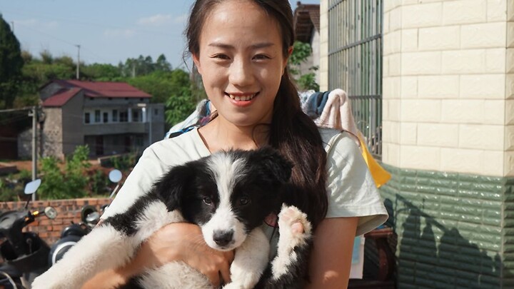 Chó ở nông thôn tắm mất bao lâu? Cô gái thay hai chậu nước, còn chú chó Border Collie thì tỏ ra rất 