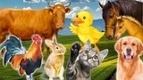 Learn Family Animals: Cat, Horse, Cow, Chicken, Duck - Farm Animal Sounds - Part 2