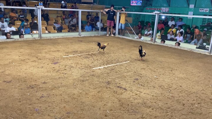 2nd fight win champ🥰