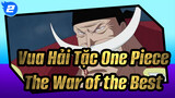 Vua Hải Tặc One Piece|MAD| Trận chiến của những nhân vật đỉnh nhất_2
