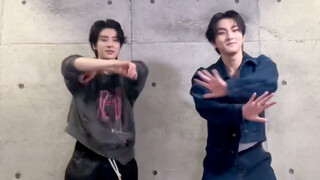 Liang Zhenyuan and Shen Zailun's TikTok update: We are Robots🤖