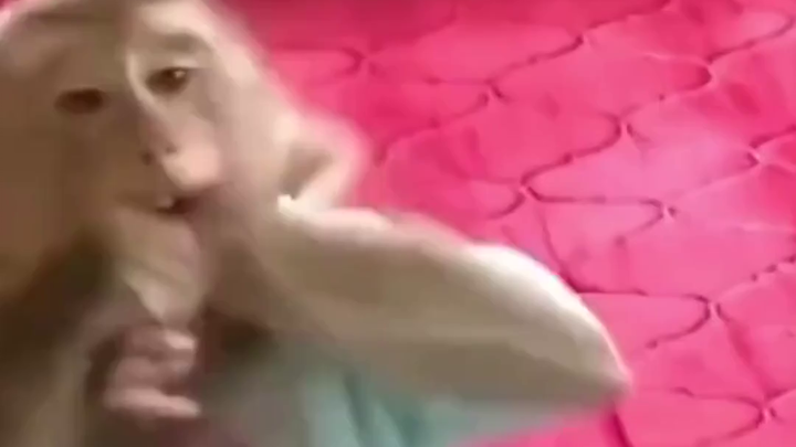 Why Do Some Koreans Say Chinese Food Tastes Terrible?