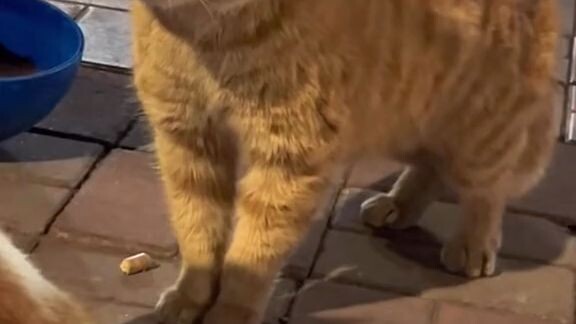 hahahahahhaha super cute 😍