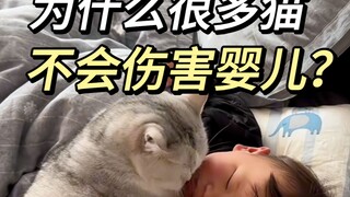 A cat's attitude toward children depends only on two words.