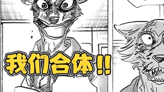 The final battle begins, Legoshi joins the battle! "I can't do it without Louis~" #BeastarsBeastars1