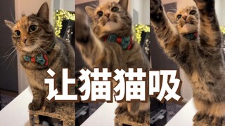 Mèo lắm mồm muốn hút người rồi, mau cho nó hút đi!