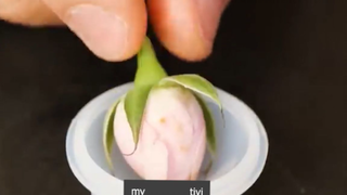 xòe quạt thôi p4 #mytivi