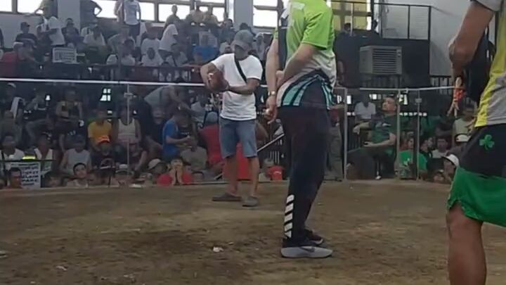 R Brothers 1×winner Win Zapote Cockpit arena🐓🔥