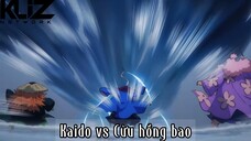 Kaido vs cửu hồng bao