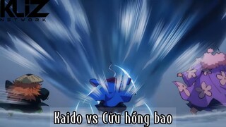 Kaido vs cửu hồng bao