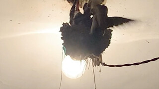 一方水土养一方人