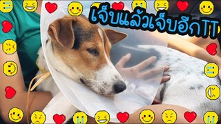 โลกของแสนดี ตอน ตัดไหมแล้วค่ะ (ครบ 7 วันแล้ว)
