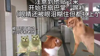 【ميم القط】مزق الرجل البائس بيديه، وحارب الإله جين جيه، وداس على الشائعة الصفراء ب