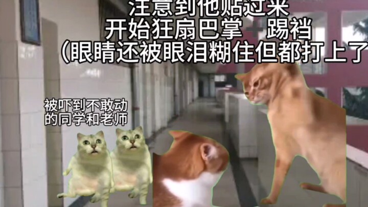 【Meme mèo】Xé nát tên khốn nạn bằng tay, đấu với thần Jin Jie, giẫm nát tin đồn vàng b
