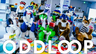 "ODDLOOP" / みんなでオドルプ