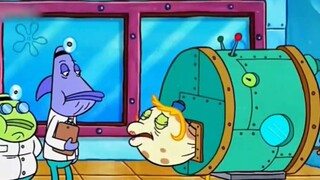 Is SpongeBob becoming more and more curious?