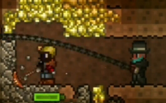 رأسمالي، لكن في تيراريا