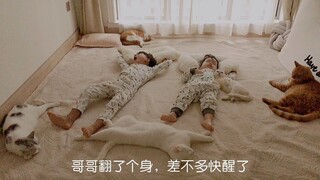 哥哥妹妹清晨睡播，猫咪们都来陪伴，小八弟的踩奶好可爱