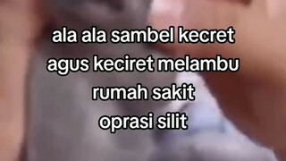 gk tau mau kasih judul afaan