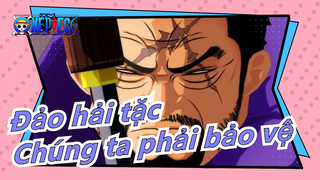 [Đảo hải tặc] Chúng ta nên biết số người chúng ta phải bảo vệ