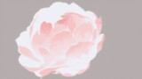 [Cuộc sống] [Procreate] Vẽ hoa bằng Lasso