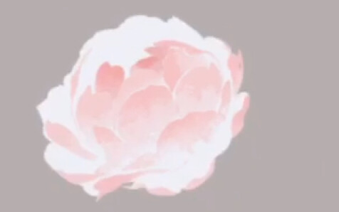 [Life] [Procreate] Drawing a Flower Using Lasso
