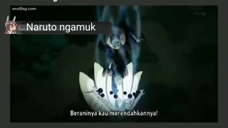 jgn pernah rendahkan nama hokage