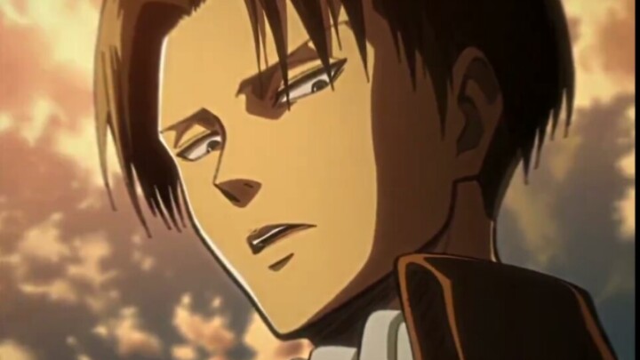 So...you also like Captain Levi?